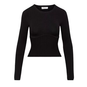 Aritzia Babaton long sleeve sculpt top